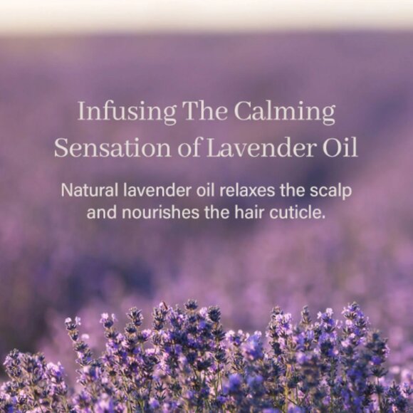 🔥3/$30 NIB Arencia Bora Bora Dream Solid Shampoo Bar Full Size Retail $19.99 - Picture 4 of 6